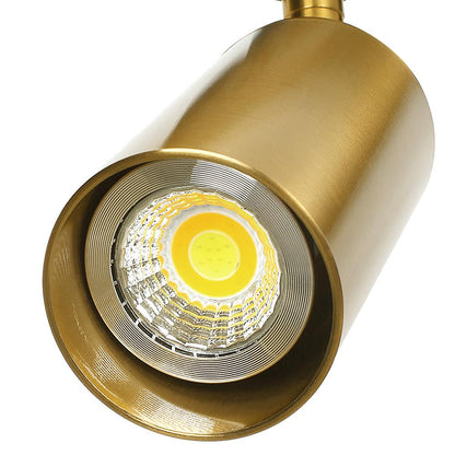 Industrial 1 Light Brass Directional Ceiling Light Spot Light Track Light